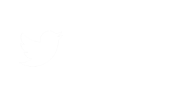 NYMedia Logo